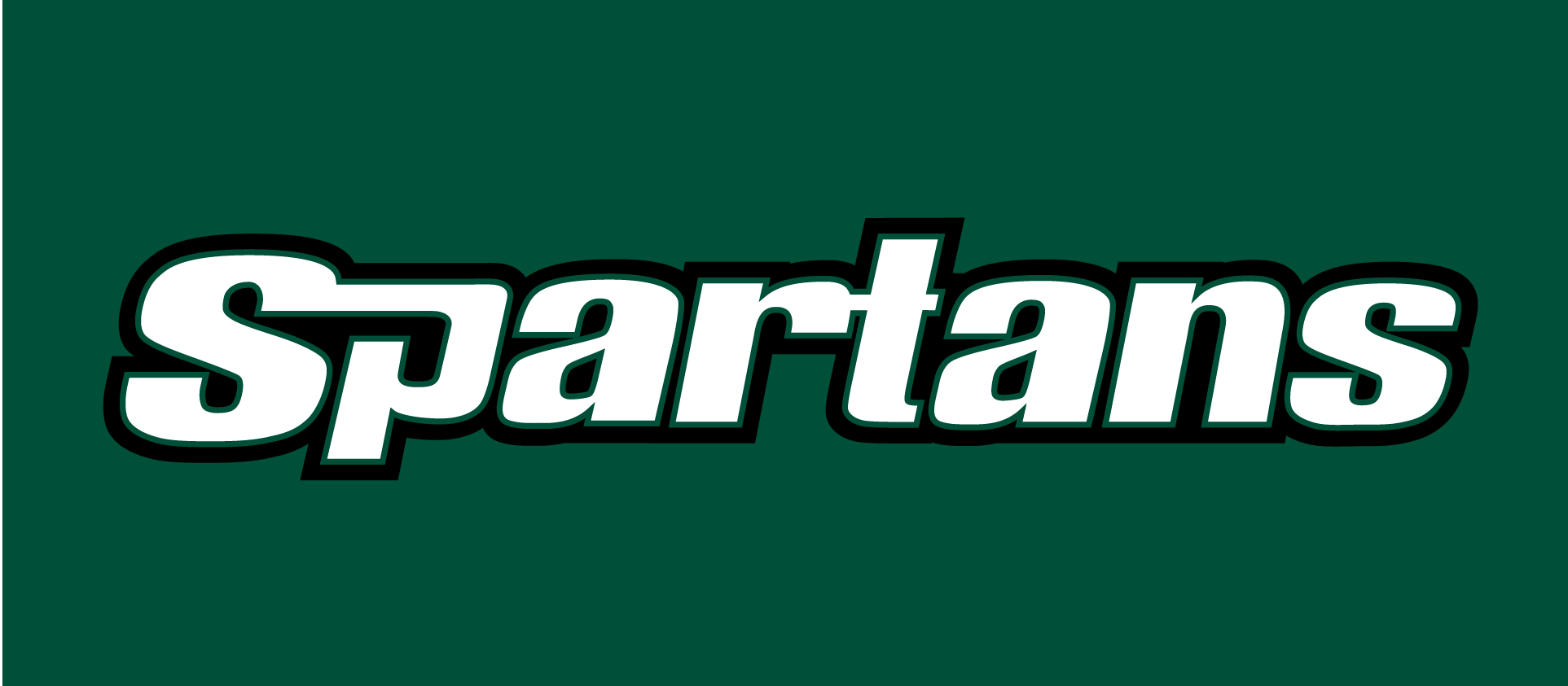 USC Upstate Spartans 2003-2010 Wordmark Logo v2 diy fabric transfer